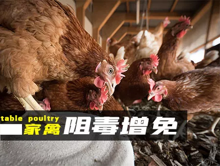阻毒增免