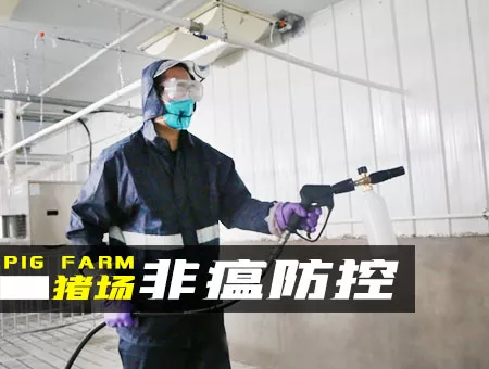 非瘟防控