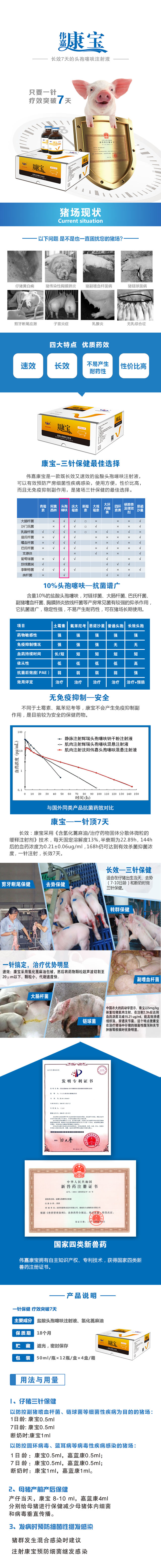 康宝.jpg